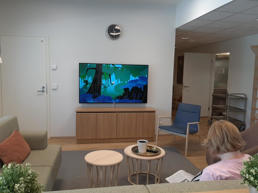 Onnikoti Armaksen oleskelutila, jossa sohva, tuoleja ja televisio