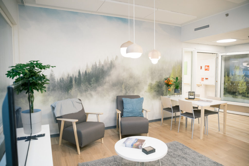 Onnikoti Maria, oleskelutila, jossa kaksi harmaata nojatuolia, huonekasvi ja ruokapöytä