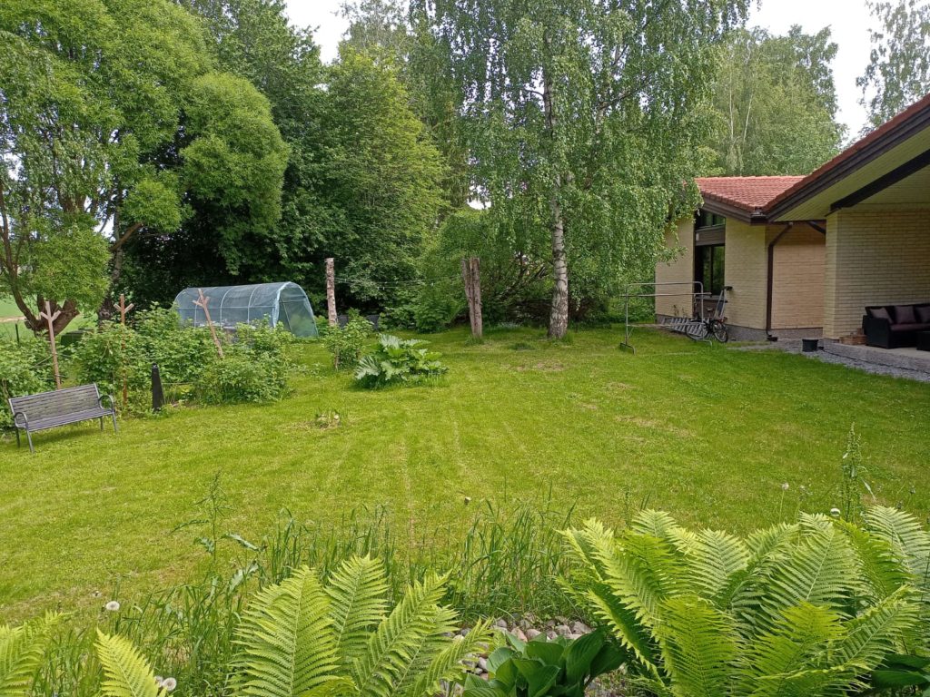 Onnikoti Verkan piha ulkoa, vihreä takapiha