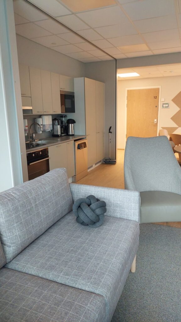 Onnikoti Apilan oleskelutila, jossa sohva, nojatuoli sekä keittiö.