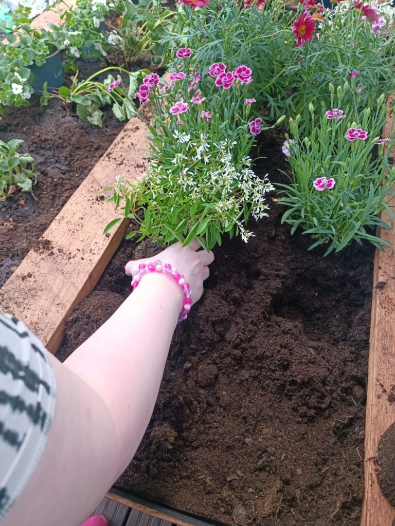 Kukkien istutusta puutarhahansikkaat kädessä