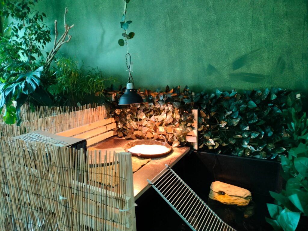 Huvikumpu Uskilan päivätoiminta