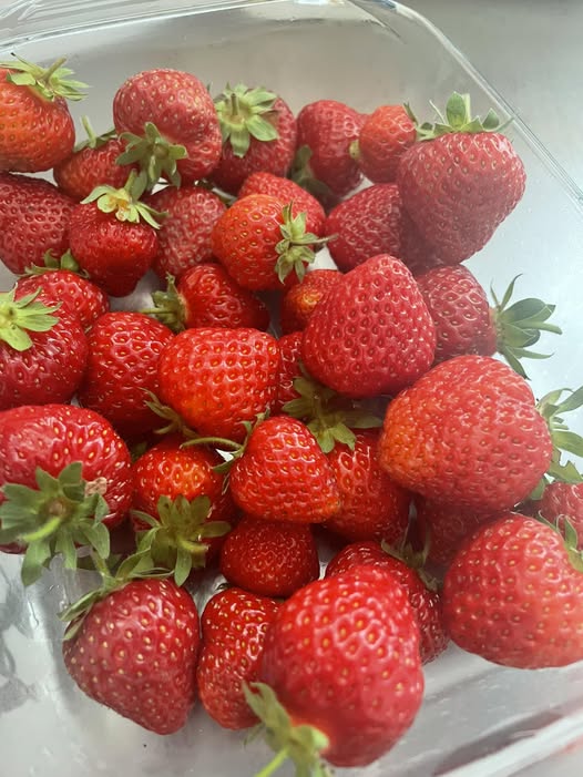 Lähikuva mansikoista