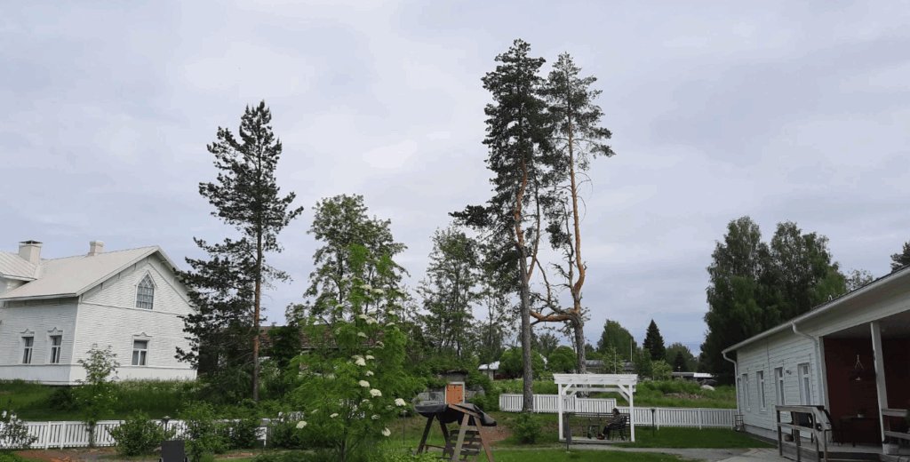 Onnikoti Kartanon piha-alue