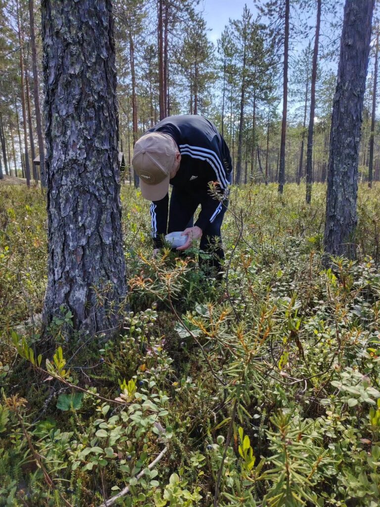 Henkilö metsässä keräämässä marjoja. 