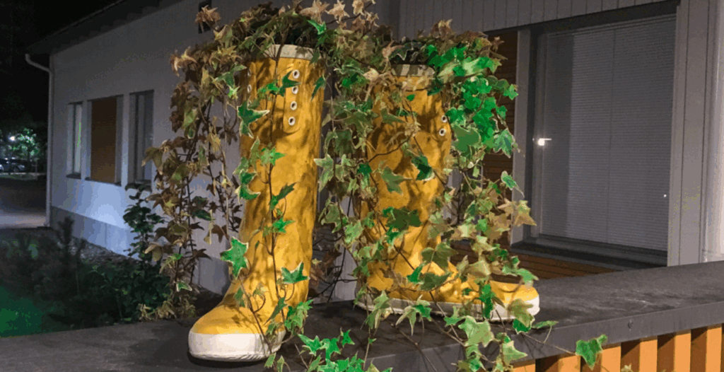 Onnikoti Runon kaksi keltaista kumisaapasta, joihin aseteltu vihreä köynnöskasvi.