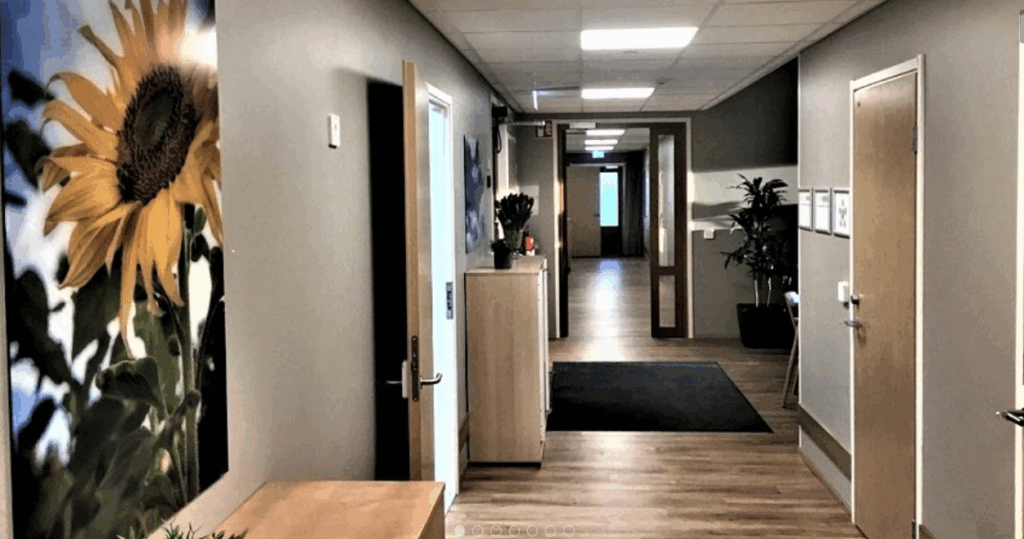 Onnikoti Tähtitaivaan käytävä, jossa näkyy taulu, ovia, lipasto ja iso kasvi.