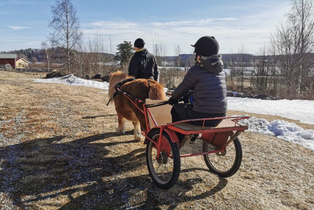 Poni ja kärryt, joissa ihminen